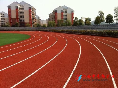 1586307850193127.jpg 77.jpg