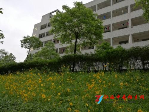 井冈山大学附属艺术学校江西中专学校排行榜排名多少